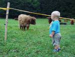 Ubytování Krkonoše - ...